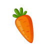 Carrot Coin